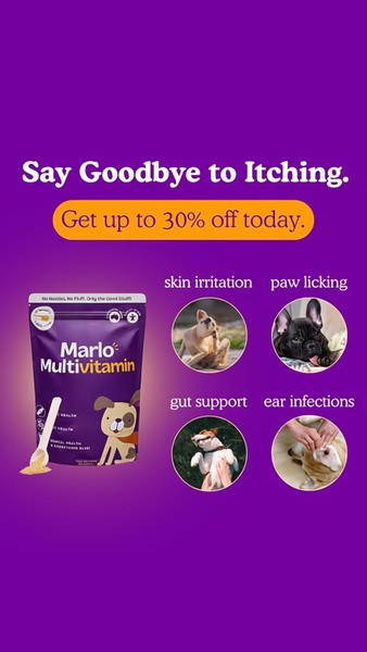 A vertical 9:16 mobile ad for a dog multivitamin that uses a clear 'before and after' pain-point structure to demonstrate product benefits.